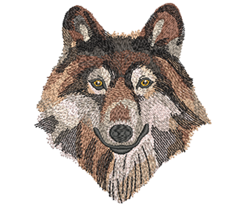 Embroidery Digitizing Service