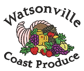 Embroidery Digitizing Service