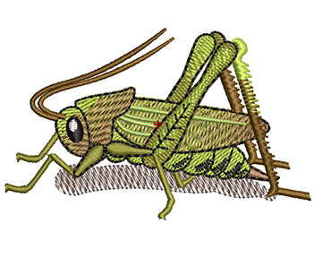 Embroidery Digitizing Service