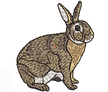 Embroidery Digitizing Service